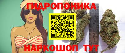 тгк Донской