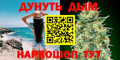 шишки Дубна