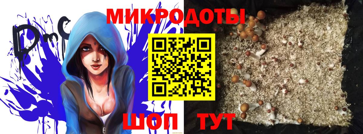 Псилоцибиновые грибы GOLDEN TEACHER Михайловка