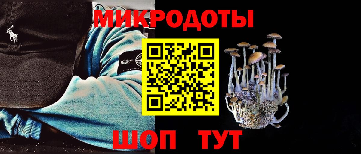 Михайловка  Псилоцибиновые грибы MAGIC MUSHROOMS  Вход с VPN  закладка  Псилоцибиновые грибы Psilocybine cubensis 